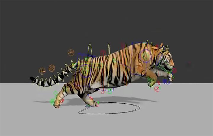 Tiger and Rat Animal Rigging by Ahmed S.