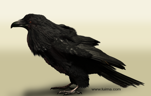 Realistic animal and creatures models and animation