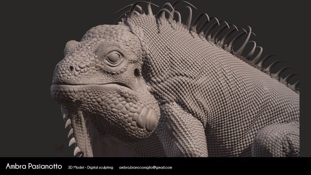 Iguana - realistic project