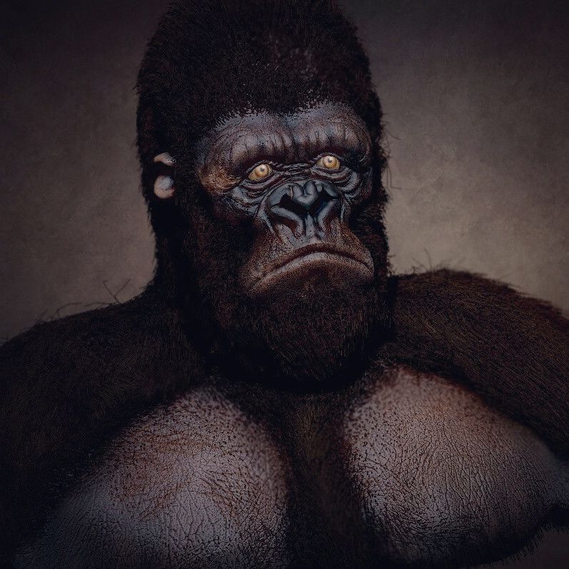 Gorilla