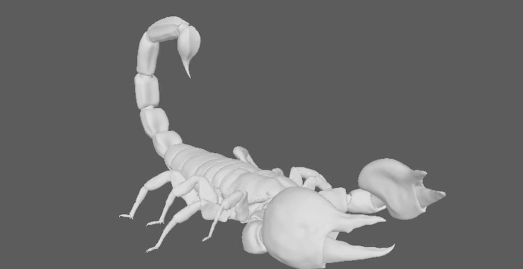 Scorpion Rigging and Animation
