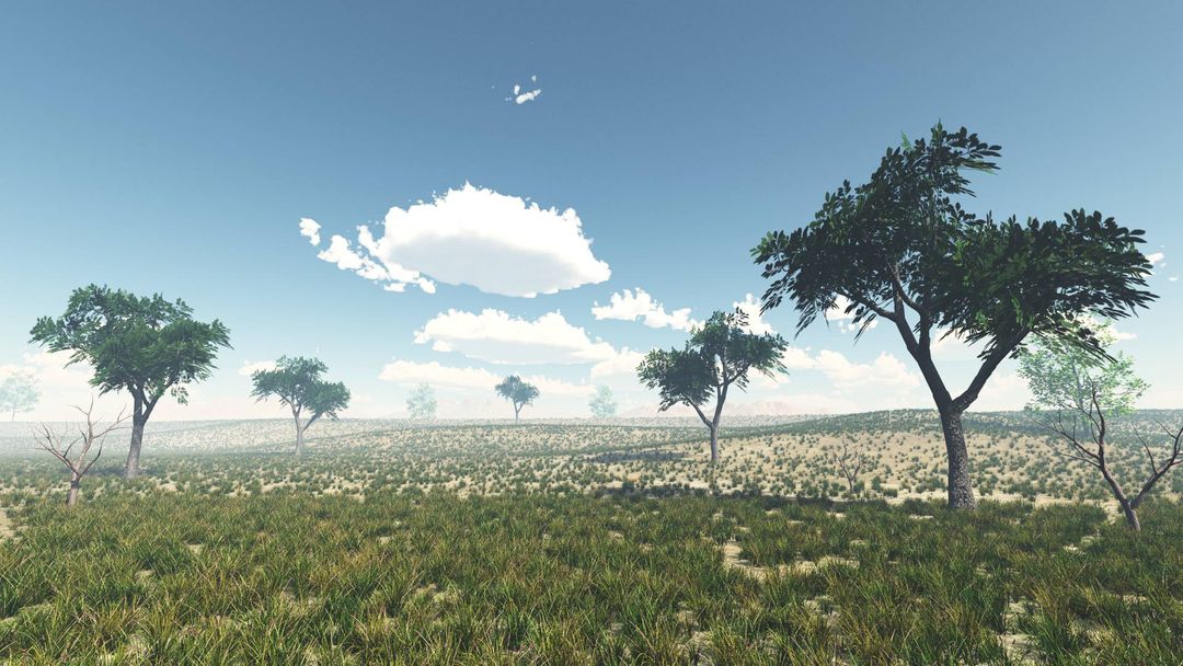 Environment Design 3D