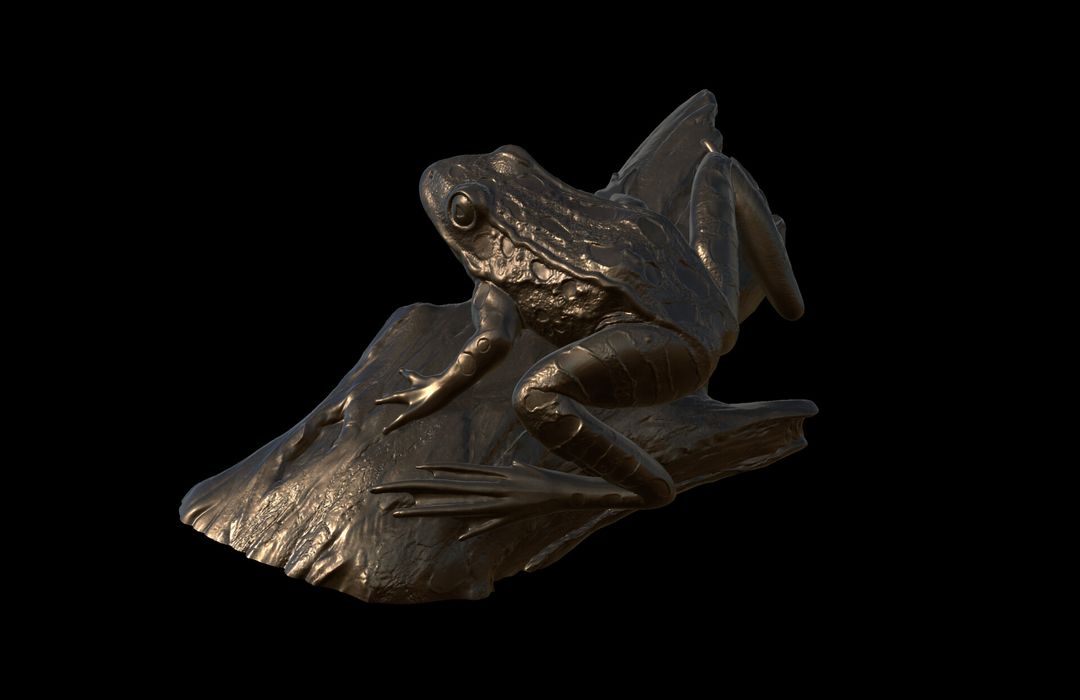 National Park Service Commission - Frog