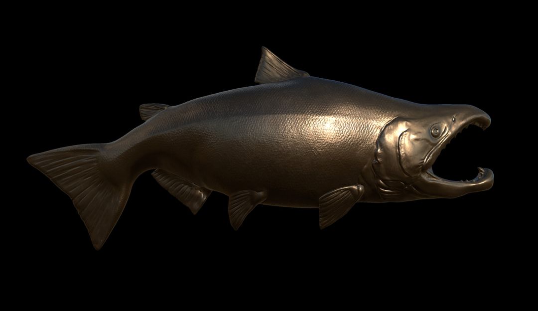 National Park Service Commission - Salmon & Pike