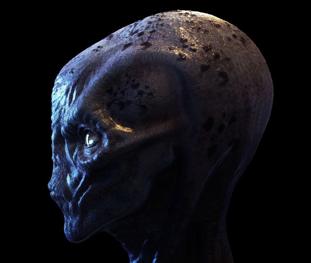 Alien head concept