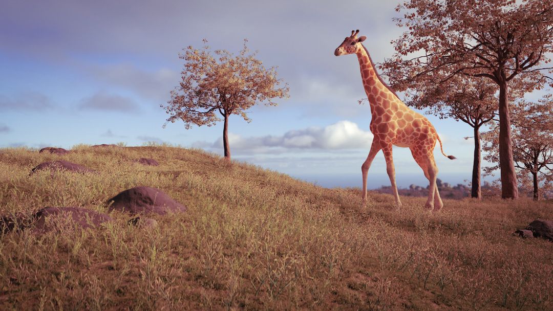 Giraffe
