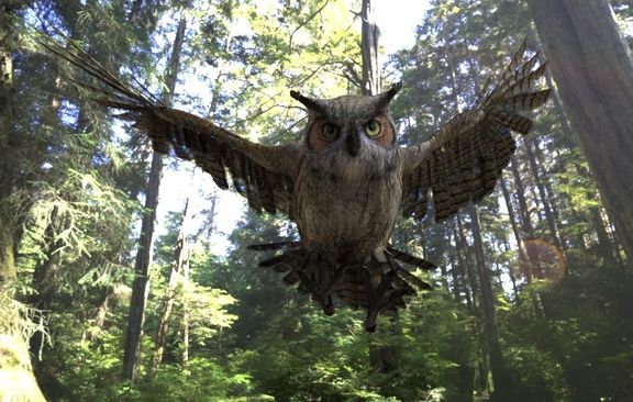 Horned Owl