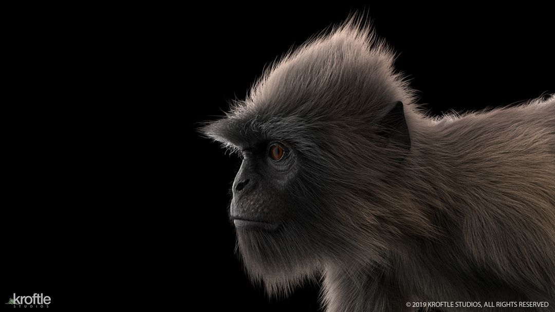 Langur Monkey | 3D Creature Modelling