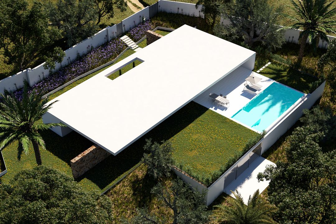 House on the Olive trees