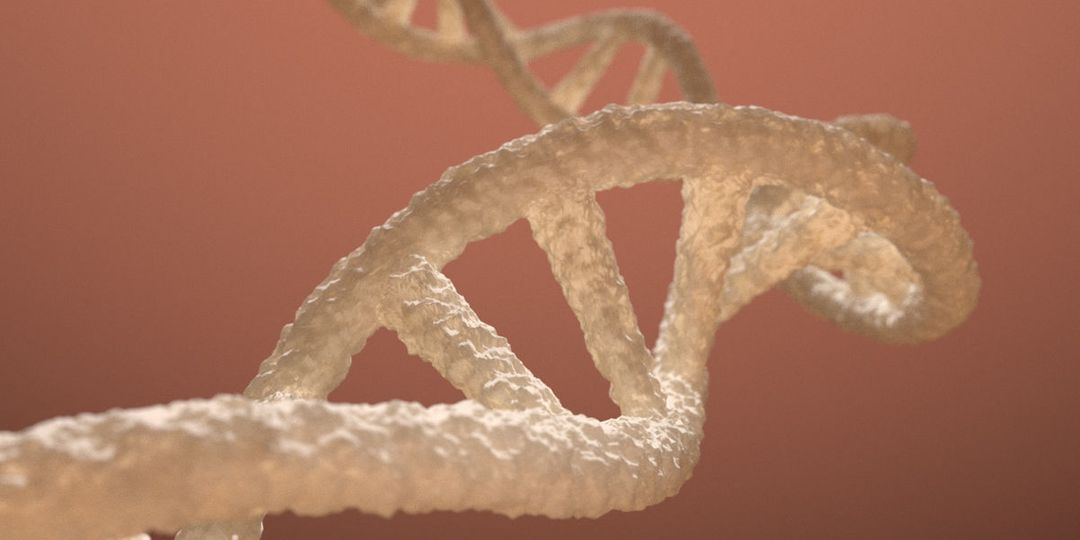 DNA Strand for medical animation