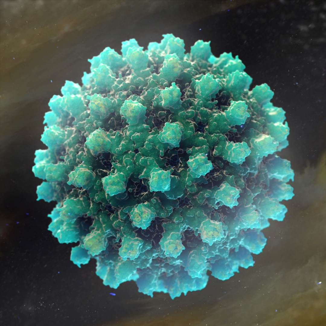 Virus Animations