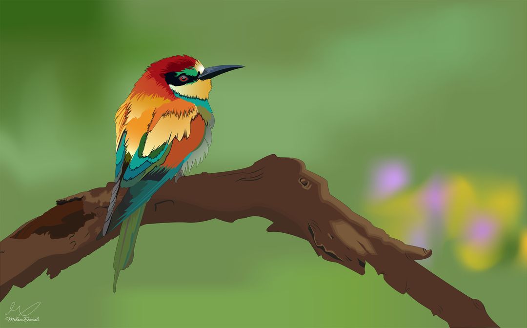 Graphic and vector design