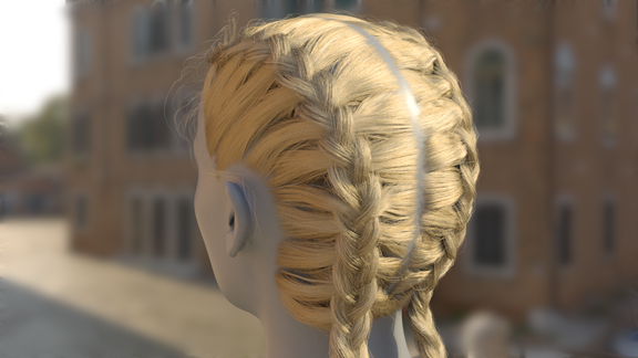 Doubble Braid groom