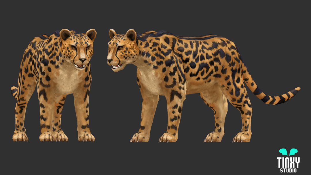 Cheetah