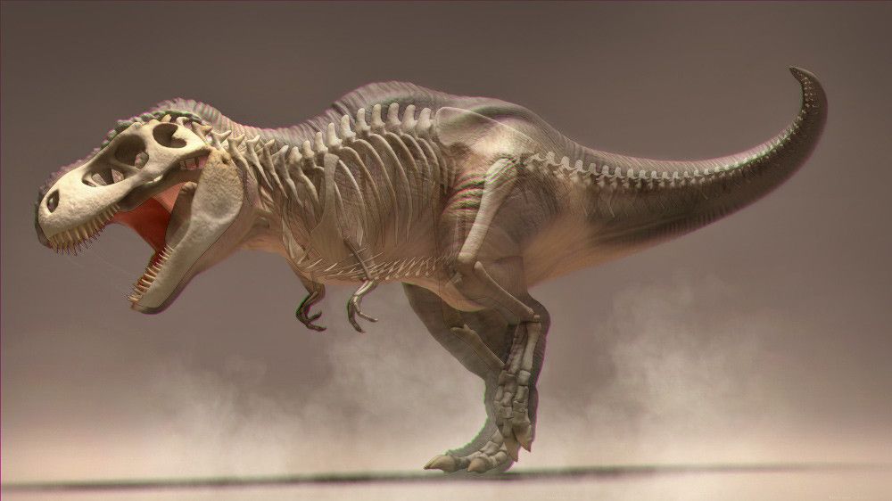 T.Rex - Simple Muscle System Rig by Ivan E.