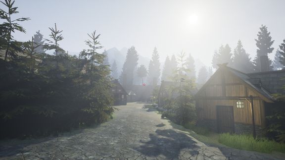 Woodland Environment