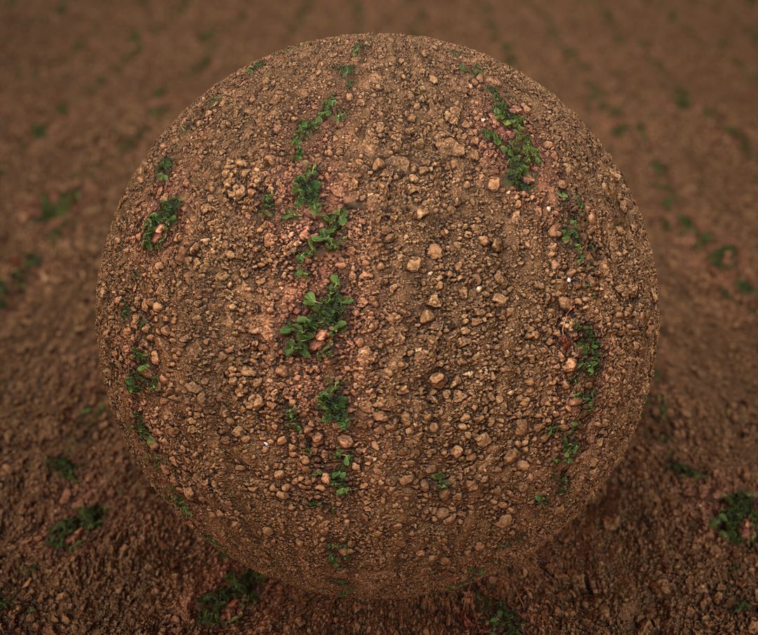 Photoscanned PBR Material - Plant & Soil