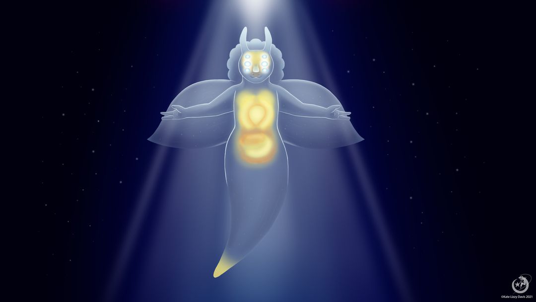 Sea Angel