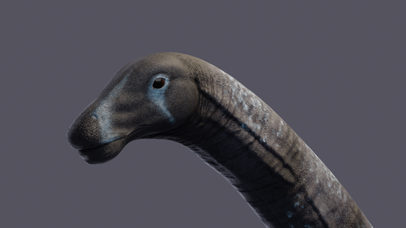 Alamosaurus sanjuanensis - Reconstruction