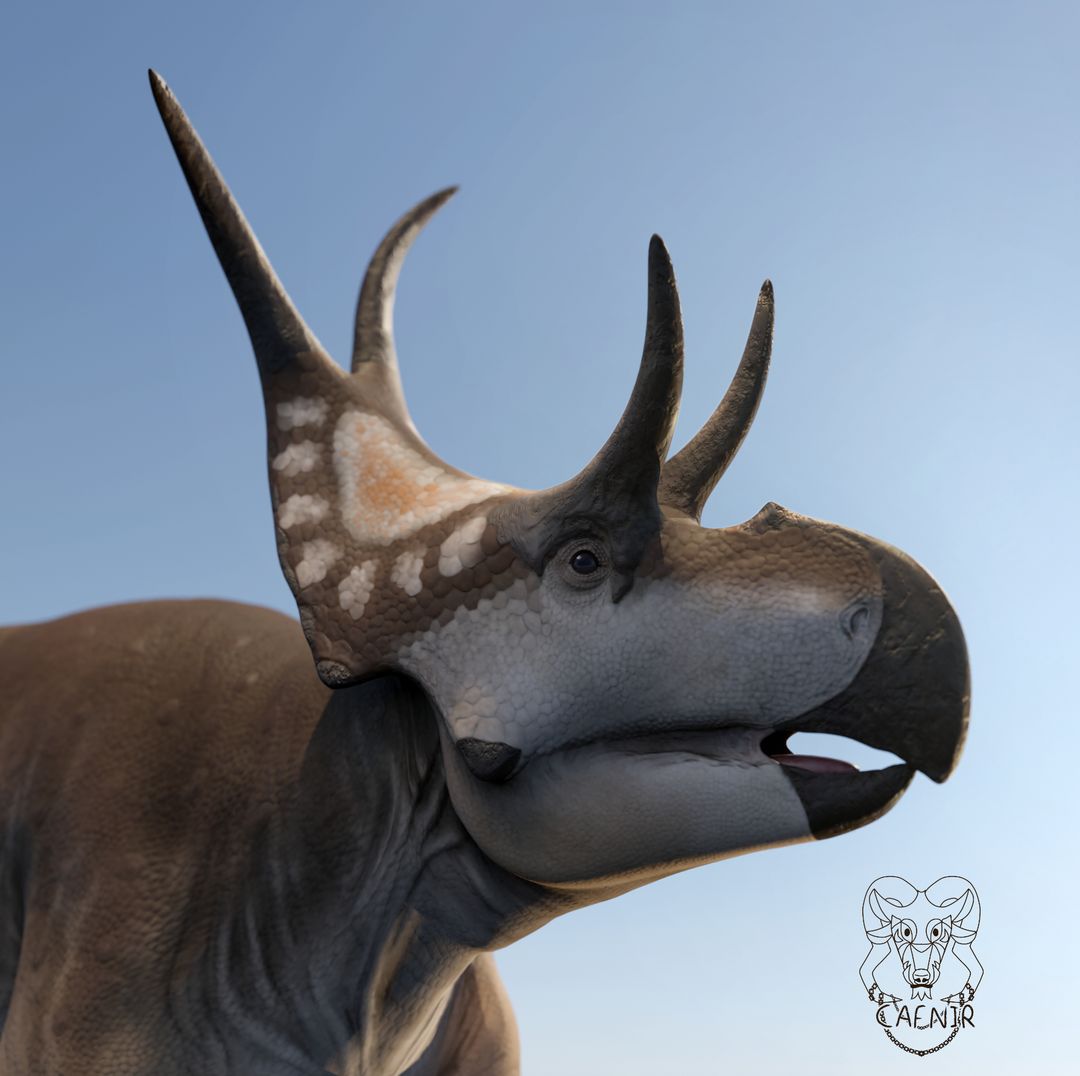 Diabloceratops eatoni - Reconstruction