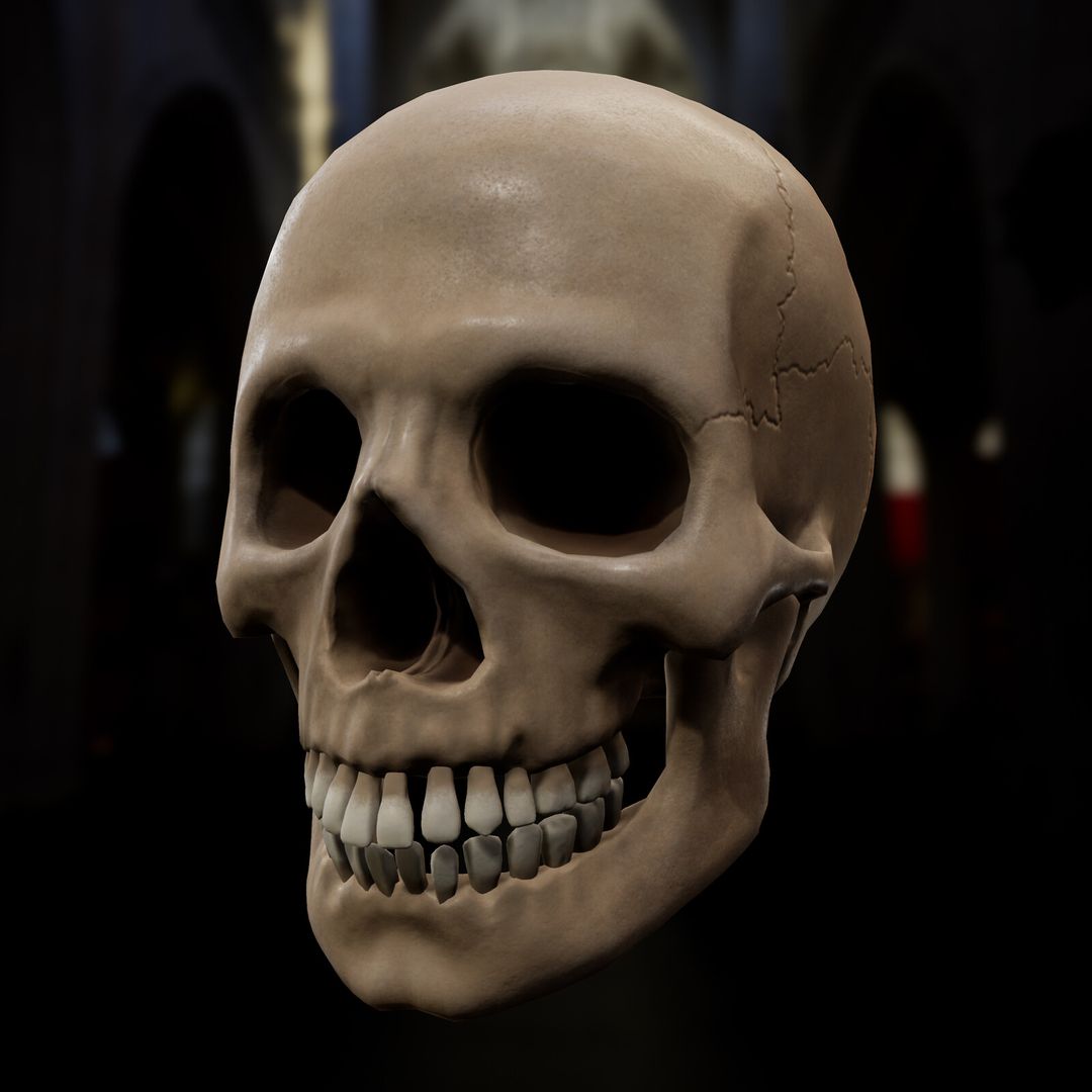 Skull