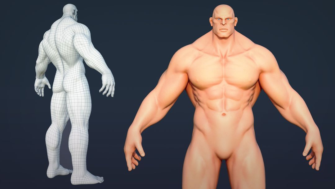 Male Hero Base Body