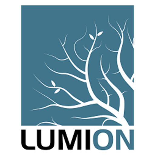 Lumion Icon
