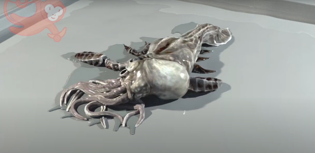 Squid: Soft Body Test