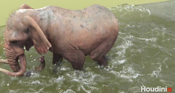 Elephant Flip: Water Simulation