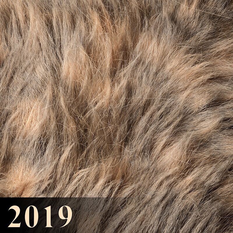 Fur (Redshift + Ornatix) (2019)