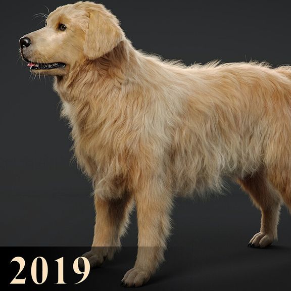 Grooming for dog. Ornatrix (2019) | 3D Creature Modelling
