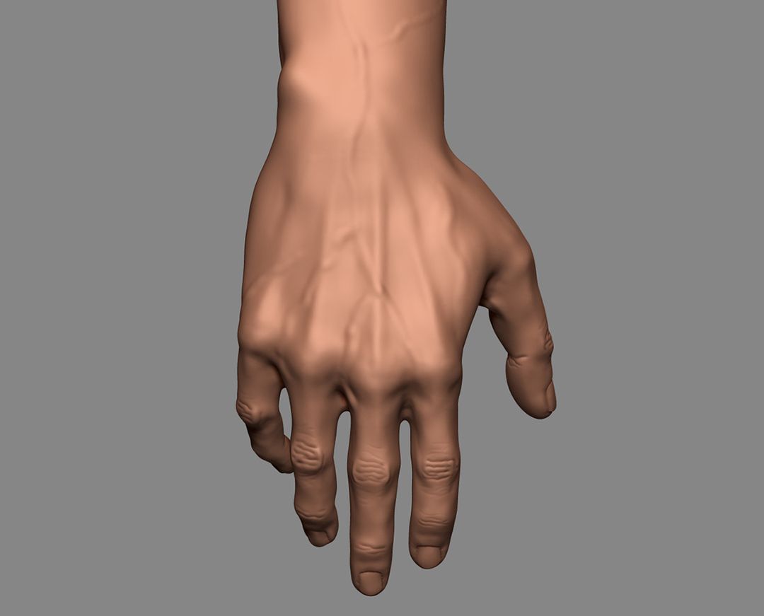 Realistic Hand