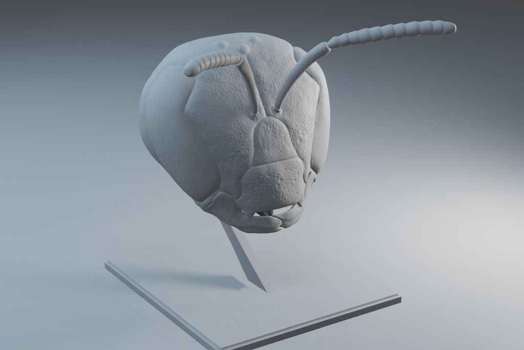 Mason bee head for 3D printing