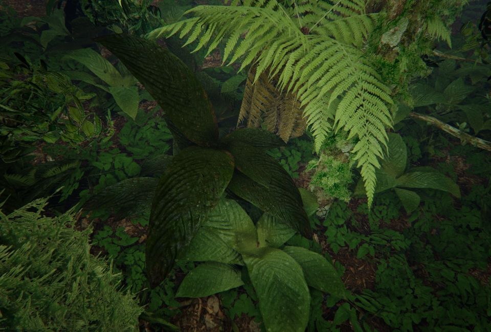 Realtime tropical foliage in Unreal Engine