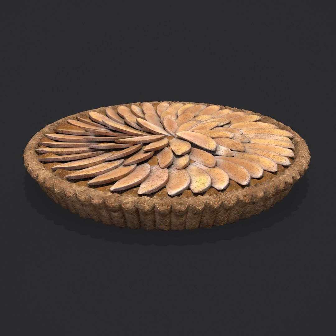 Apple Slice Pie