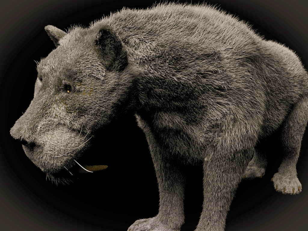 Sabertooth Tiger Reconstruction (Similodon)