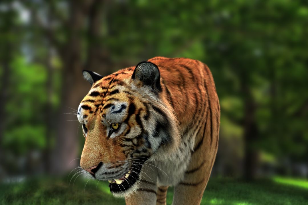 Amur Tiger Fur Rigged