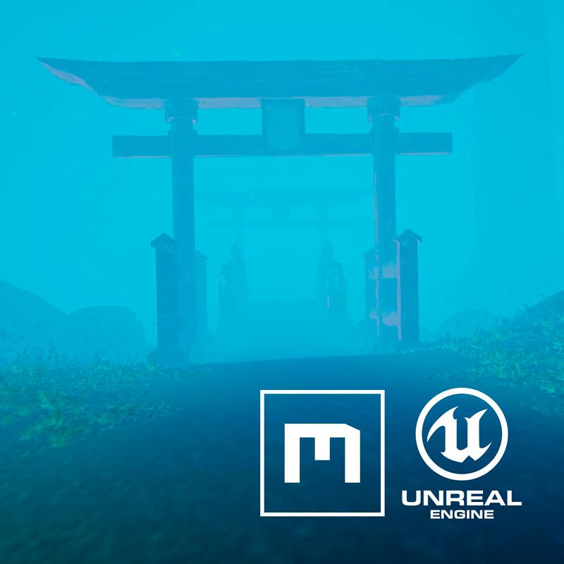 Feudal Japan Environment.