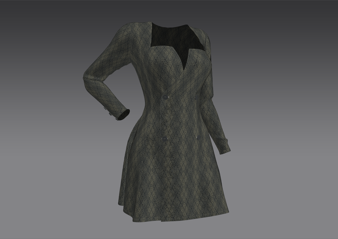 Elongated Dress/Coat.