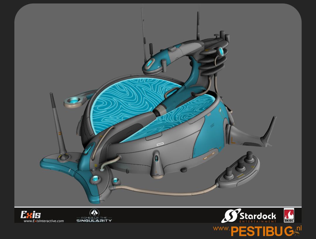 Ashes of the singularity