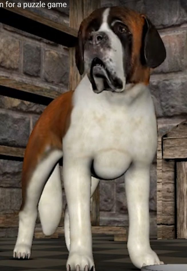 Realistic Saint bernard Dog Rig and Animation