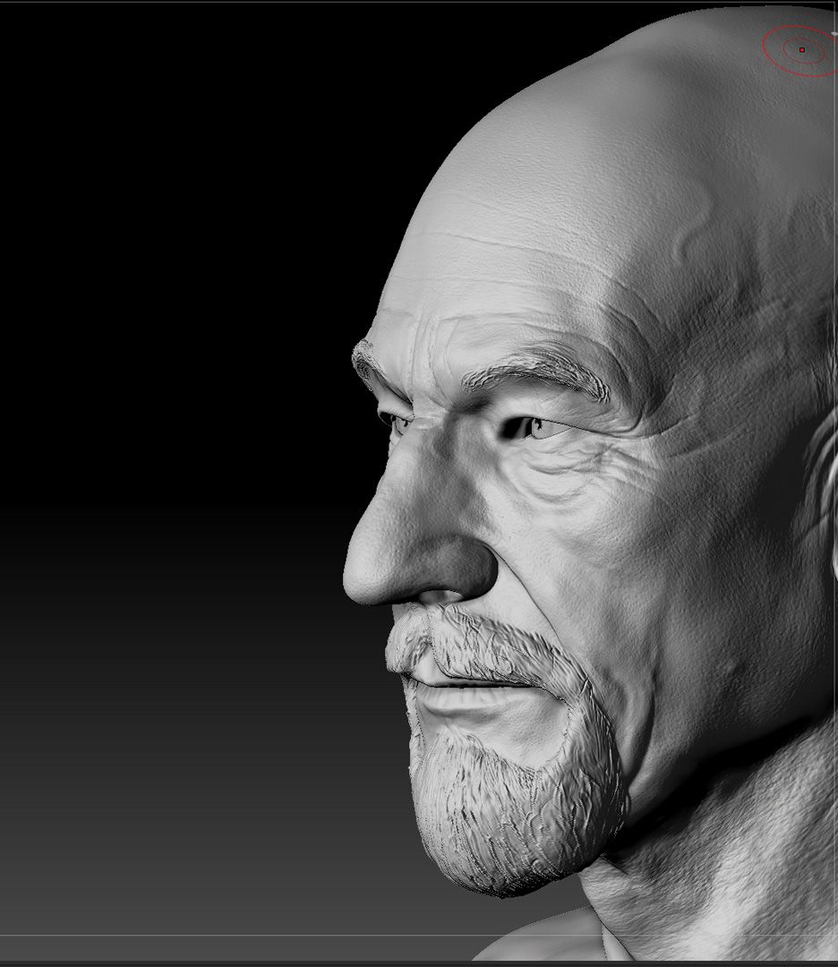 Patrick Stewart portraits