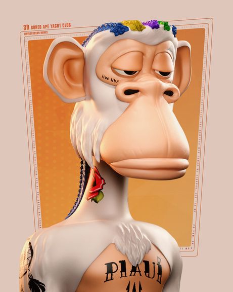 Bored Ape Yacht Club 3D Custom - Whindersson Nunes