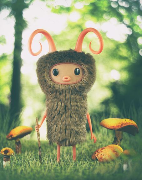 Quest for the Mushroom