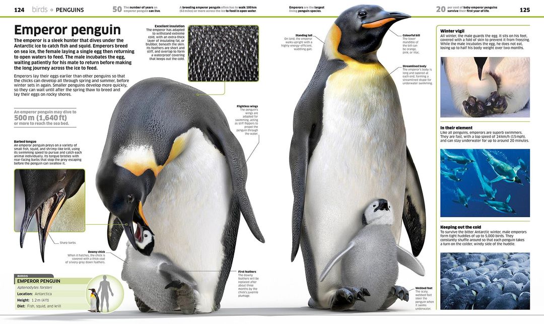 Digital emperor penguins