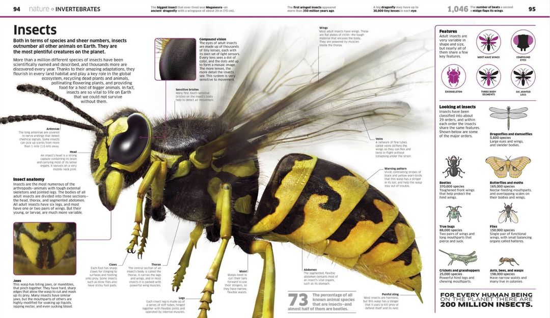 Digital wasp