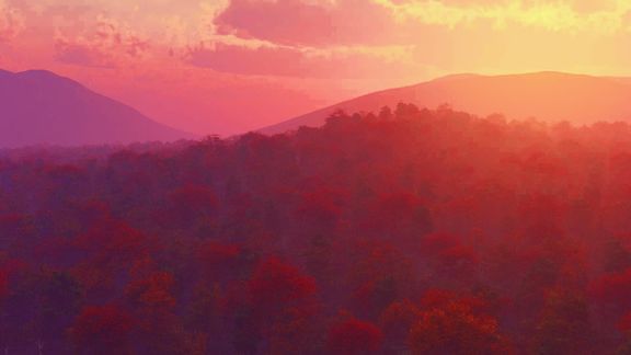 Vue Terrain and Environment Design