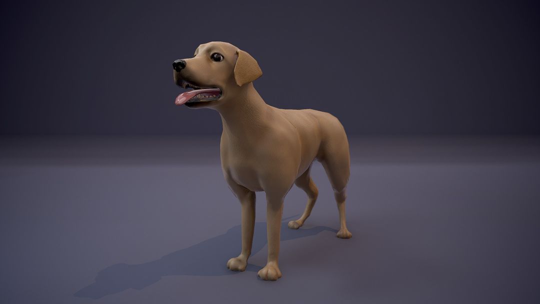 Labrador Game Asset
