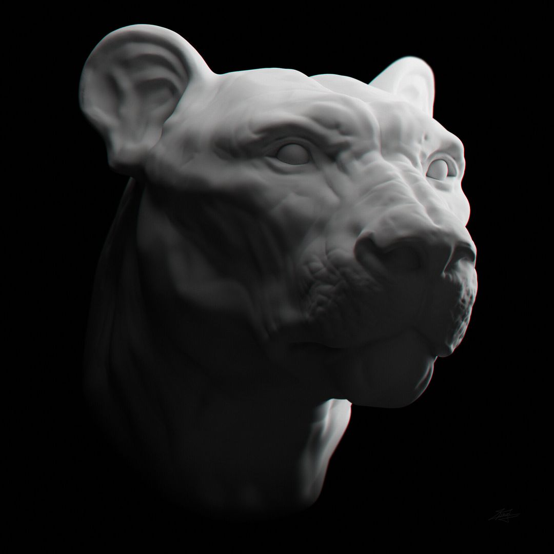 Creature - Anatomy