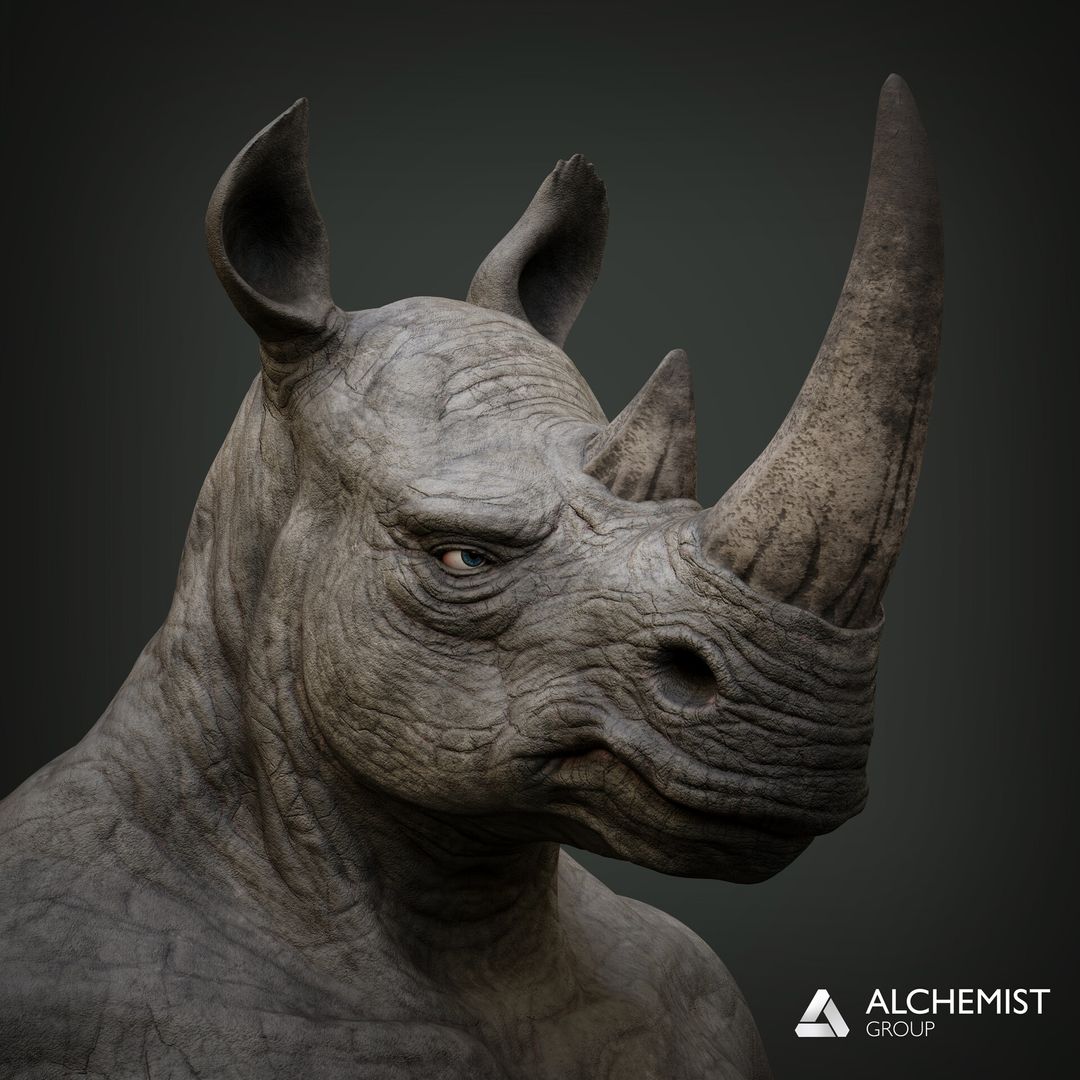 NFT Rhino